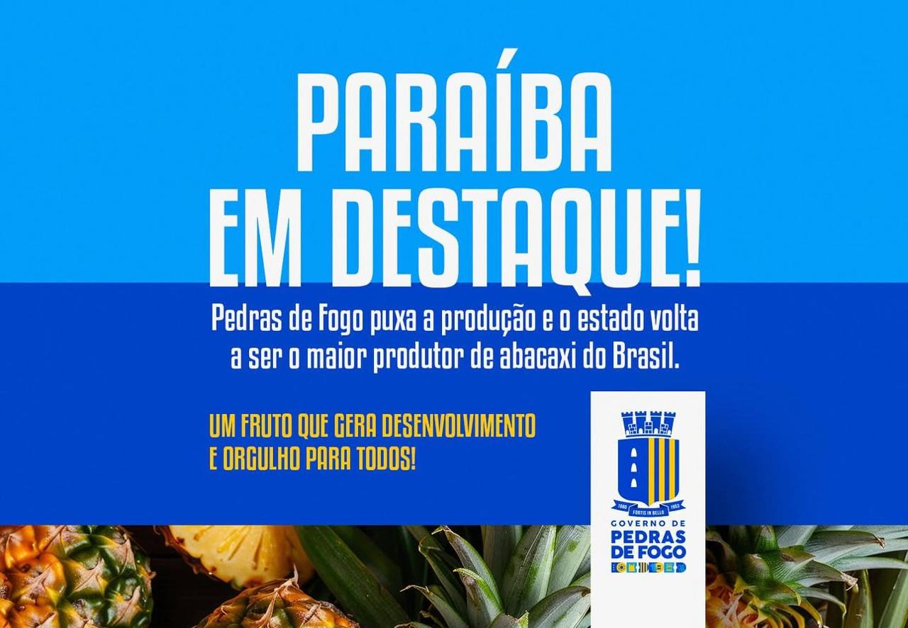 Pedras de Fogo é destaque nacional na produção de abacaxi