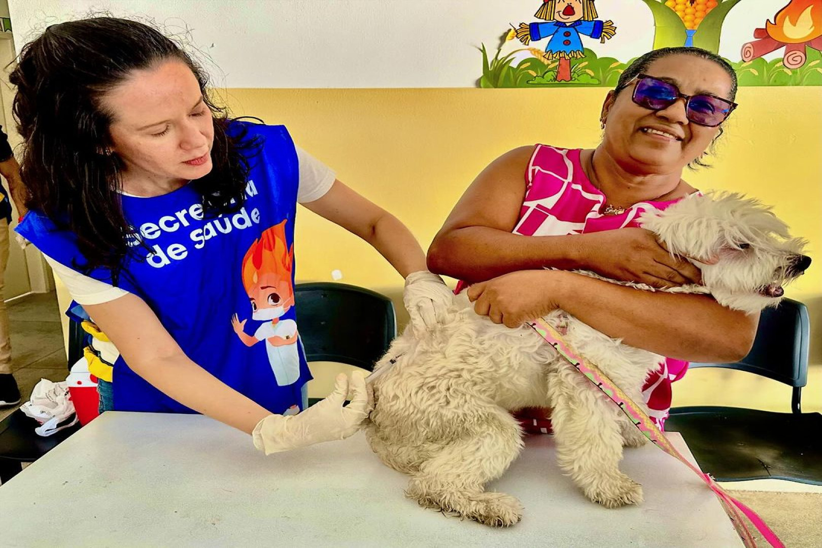 CENTRO DE ZOONOSES CONTINUA VACINANDO ANIMAIS EM PEDRAS DE FOGO